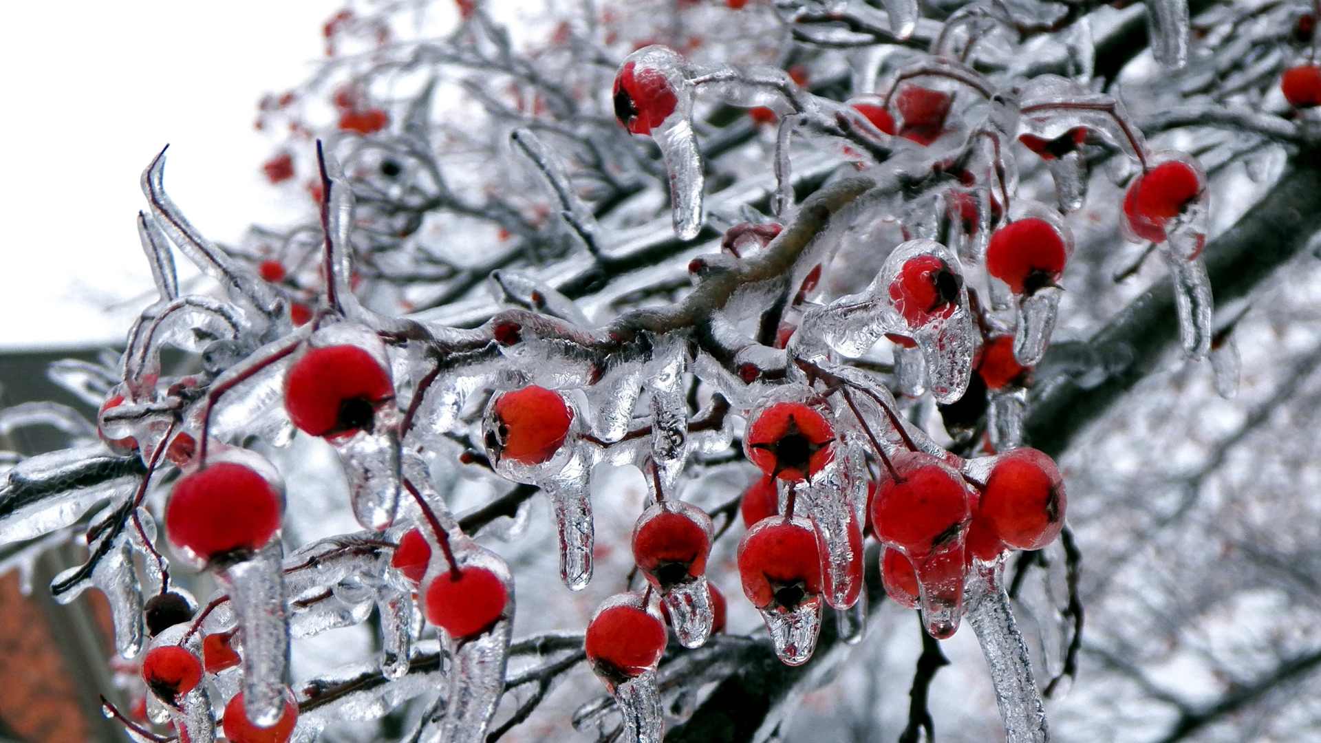 How to Keep Your Skin Clean in Winter